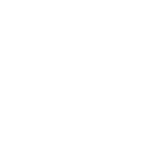Logo Site